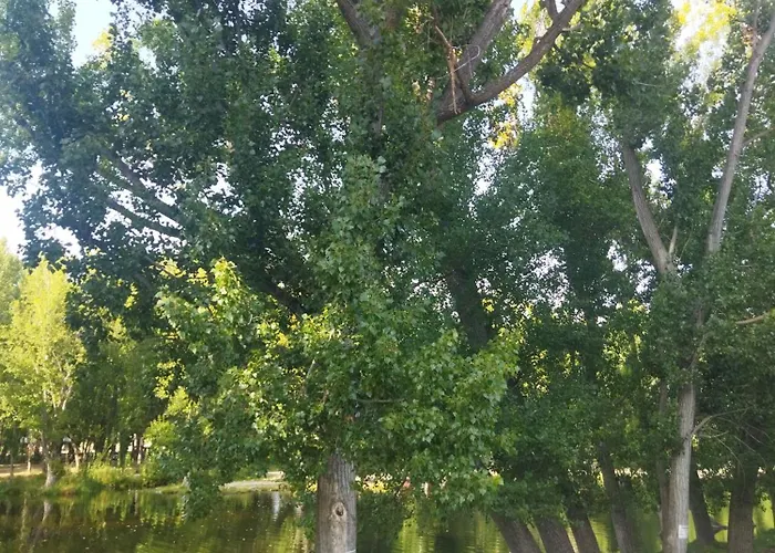 La Casita De Rosi * Navaluenga